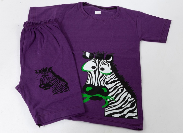 ست تیشرت شلوارک پسرانه Zebra