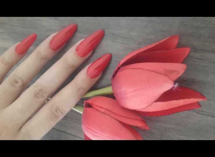 خدمات ناخن رویا