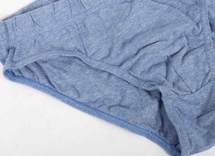 لباس زیر مردانه اسلیپ Cedar Wood State