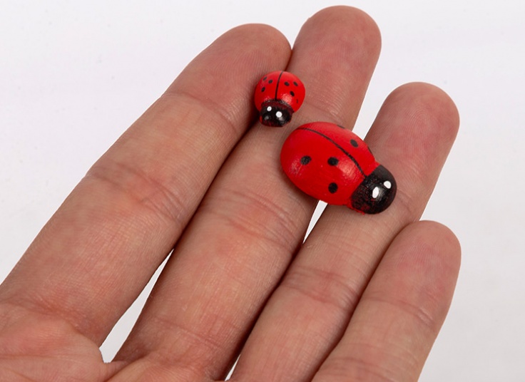 بسته 10 عددی مگنت طرح کفشدوزک