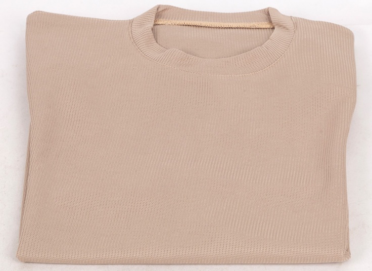 تیشرت مردانه بیسکوییتی