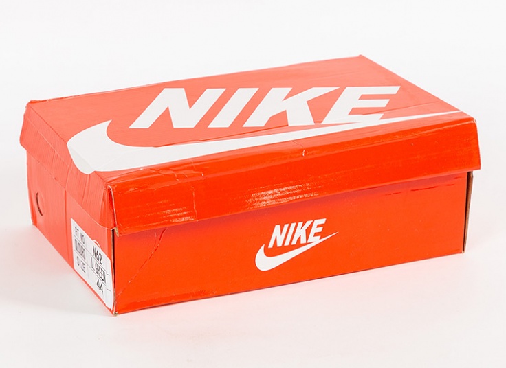 کفش ورزشی مردانه Nike