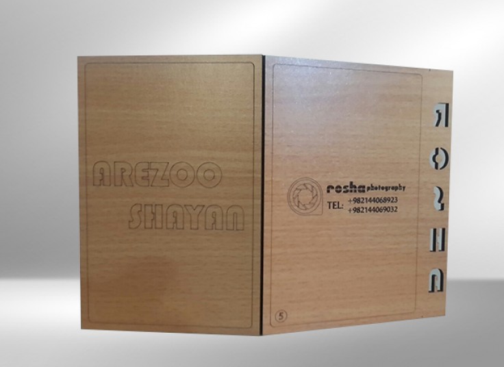 آتلیه حرفه‌ای روشا