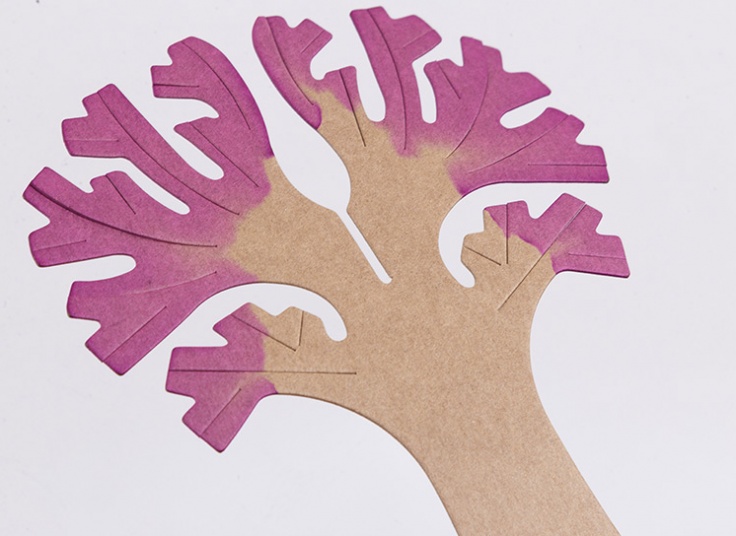 درخت جادویی SAKURA