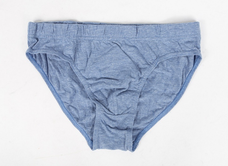 لباس زیر مردانه اسلیپ Cedar Wood State