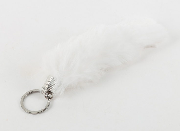 جا سوئیچی خز