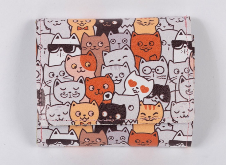 کیف پول و جاکارتی فانتزی