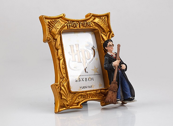 قاب عکس Harry Potter