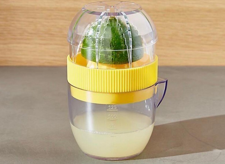 مینی آبمیوه گیری Bird