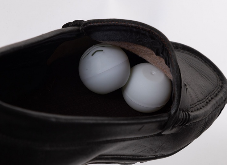 توپک بوگیر کفش و کمد