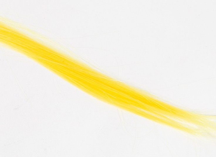 مش تکه ای کلیپسی