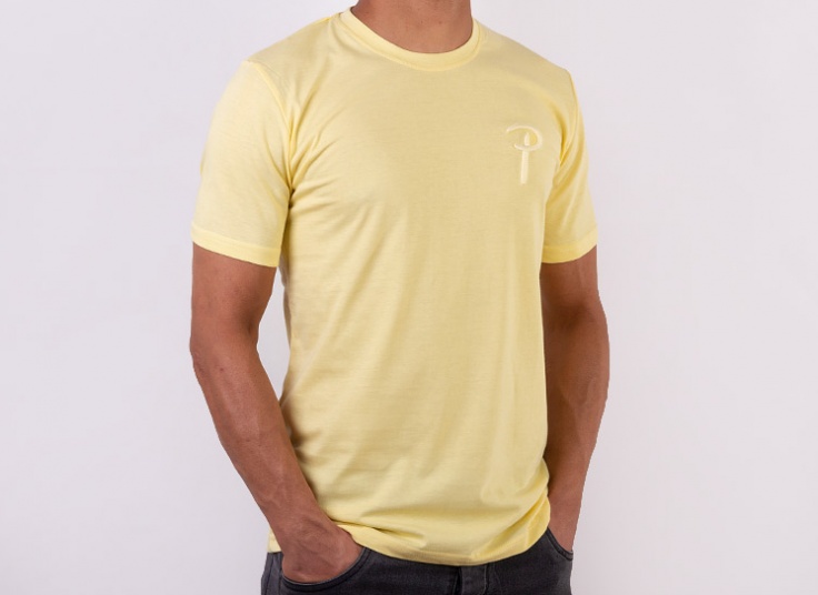 تیشرت آستین کوتاه مردانه طرح POLO