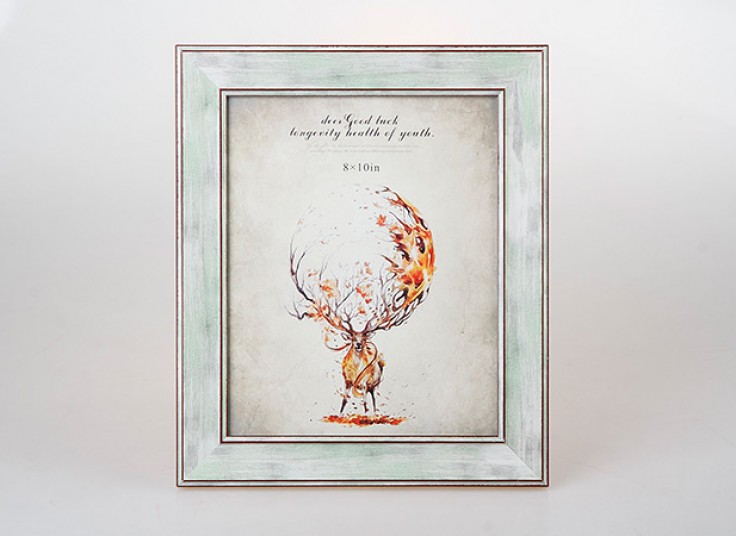قاب عکس decorative