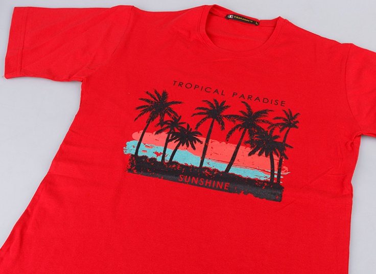 تیشرت آستین کوتاه مردانه Classic