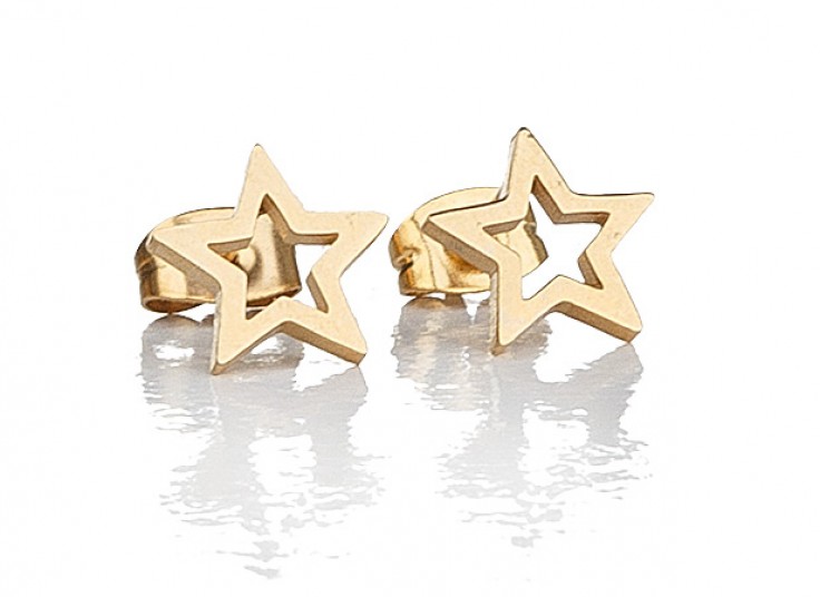 گوشواره استیل اقلیمه