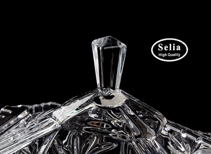 بیسکوییت خوری Selia