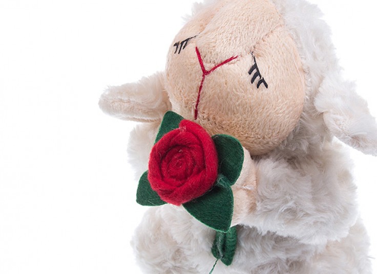 4 مدل عروسک کادویی