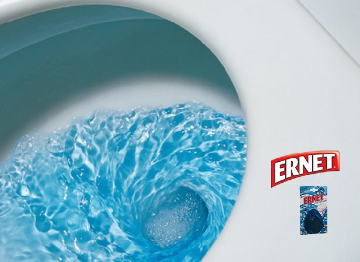 تمیز کننده توالت ERNET