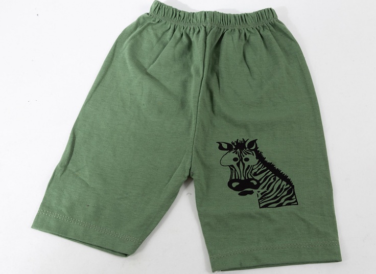 ست تیشرت شلوارک پسرانه Zebra