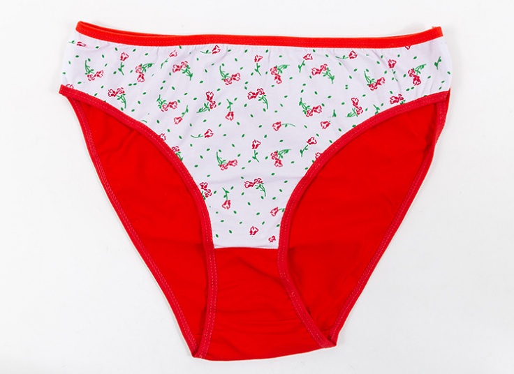 لباس زیر زنانه Deniz