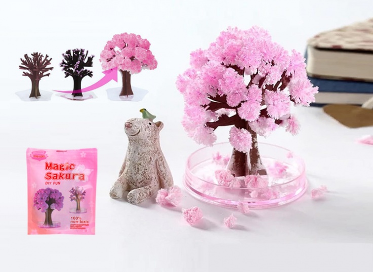 درخت جادویی SAKURA