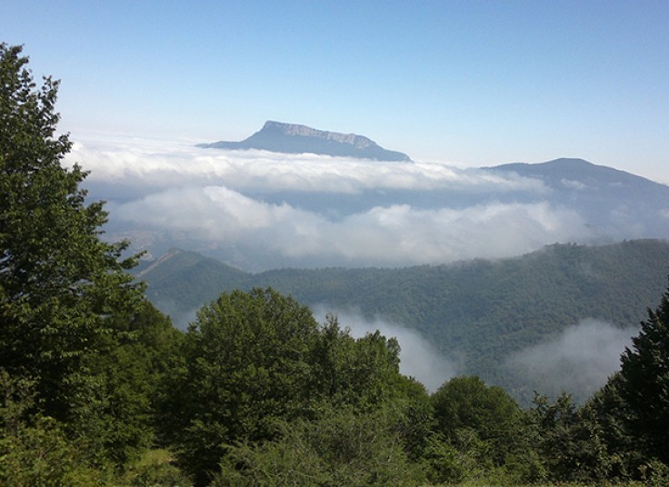 تور یک و نیم روزه آژانس بیتاگشت