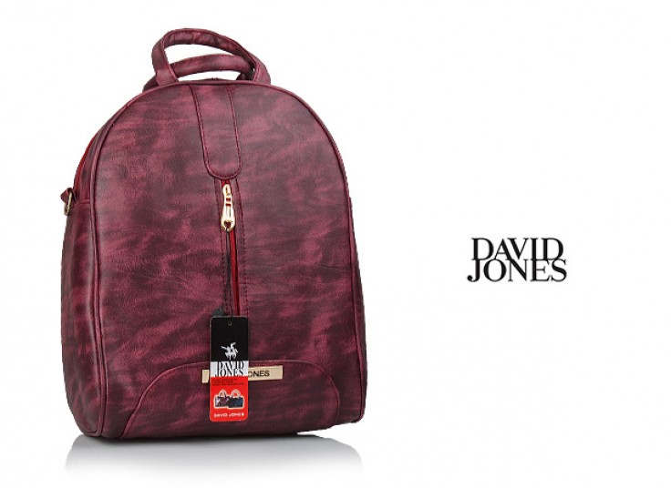 کیف کوله جدید David Jones
