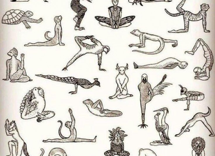 یوگا مجموعه کارینا