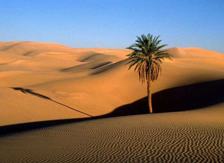 تور کویر مصر