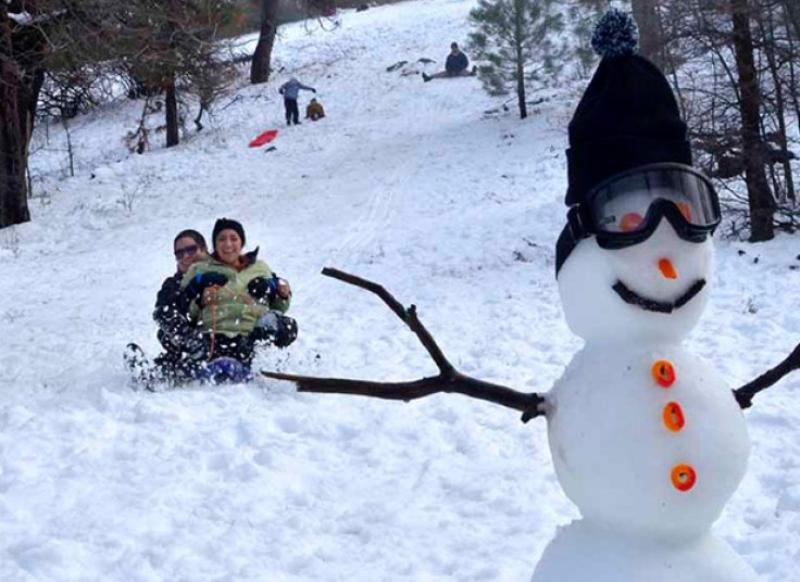 تورهای یک روزه آژانس مسافرتی همسفر پرواز