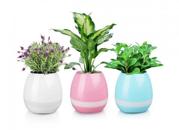 اسپیکر بلوتوثی و گلدان موزیکال Tokqi