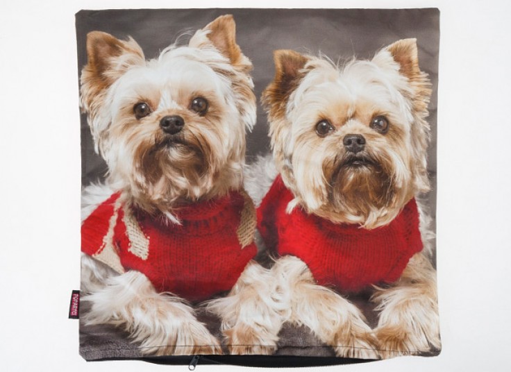 کاور کوسن POPARTCI