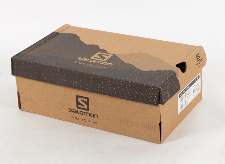 کتانی مردانه SALOMON X Ultra 4 GTX