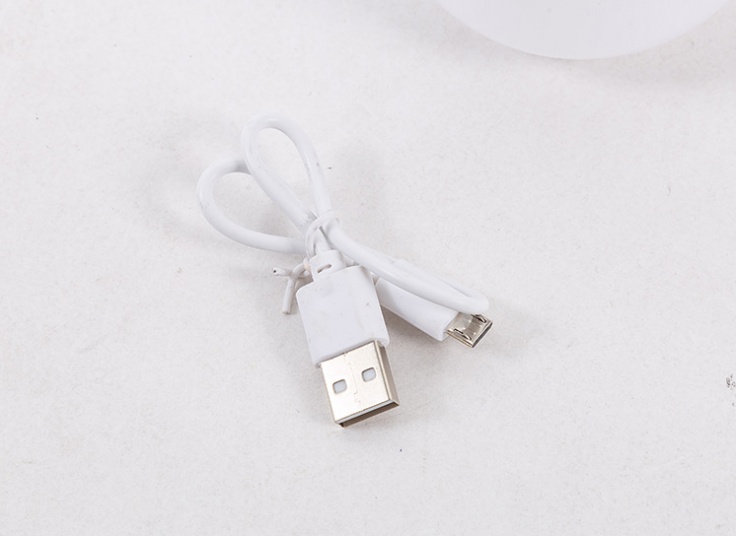 لامپ اضطراری لیتو