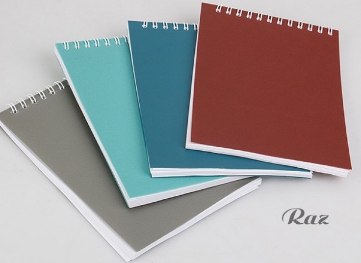 دفتر یادداشت RAZ