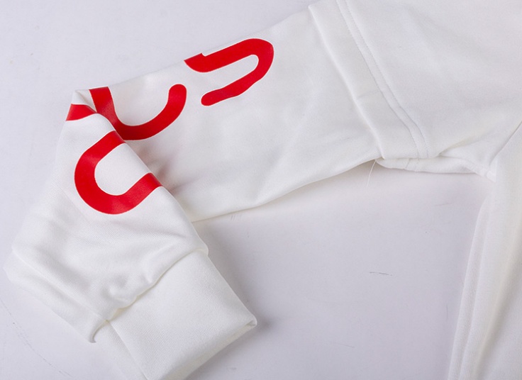 هودی مردانه dl Arts