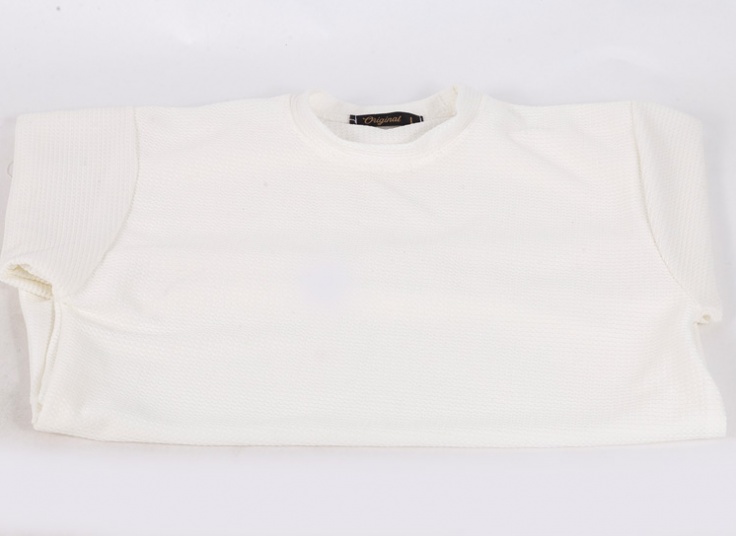 تیشرت مردانه بیسکوییتی Original