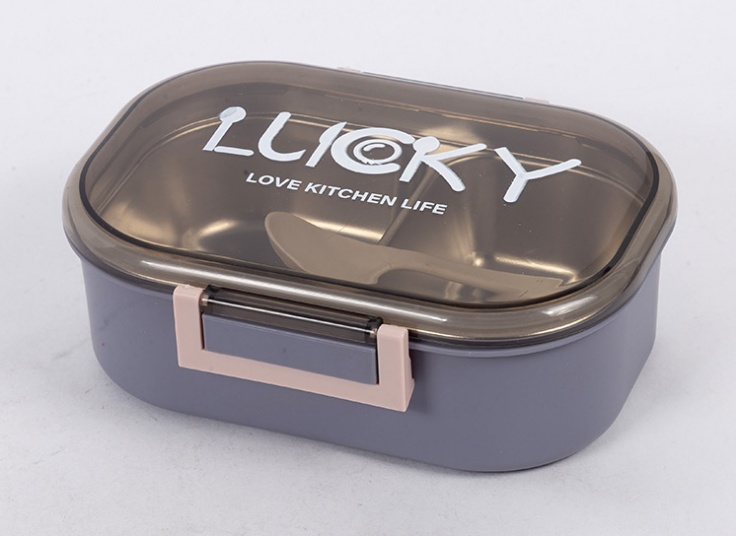 انواع لانچ باکس