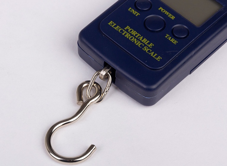 ترازوی دیجیتال Portable Electronic