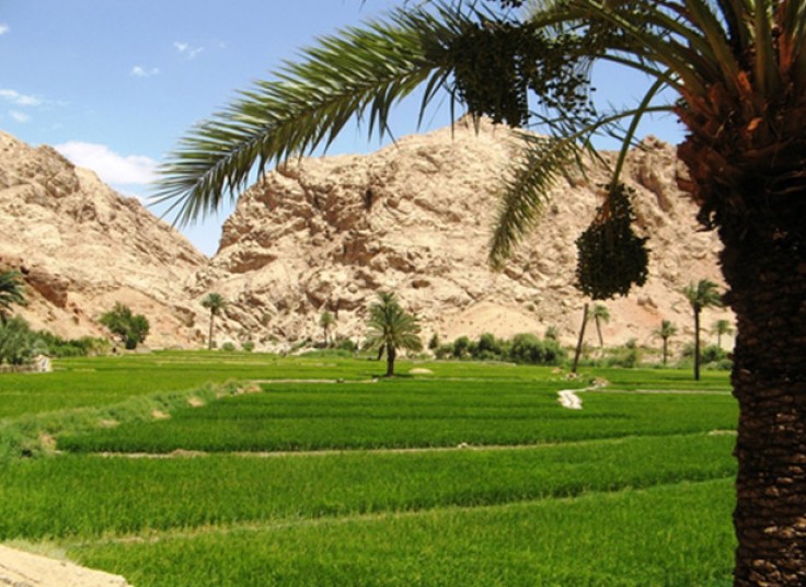 تور های نوروزی آژانس همسفران سینا