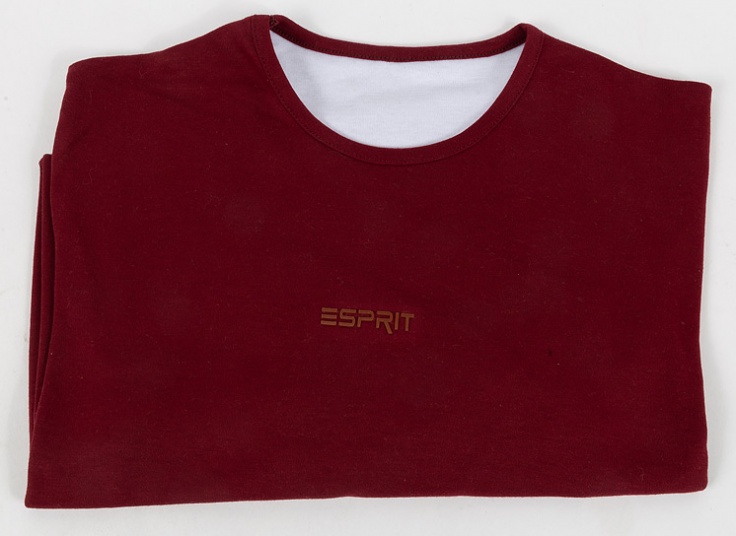 تیشرت آستین بلند مردانه Esprit