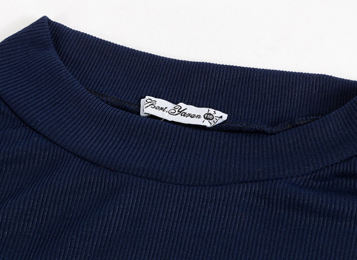 زیرسارافونی فانریپ