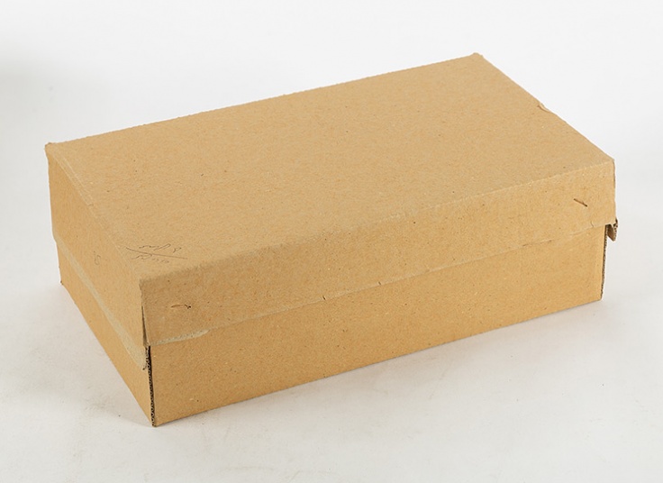 کفش مردانه طرح CAT