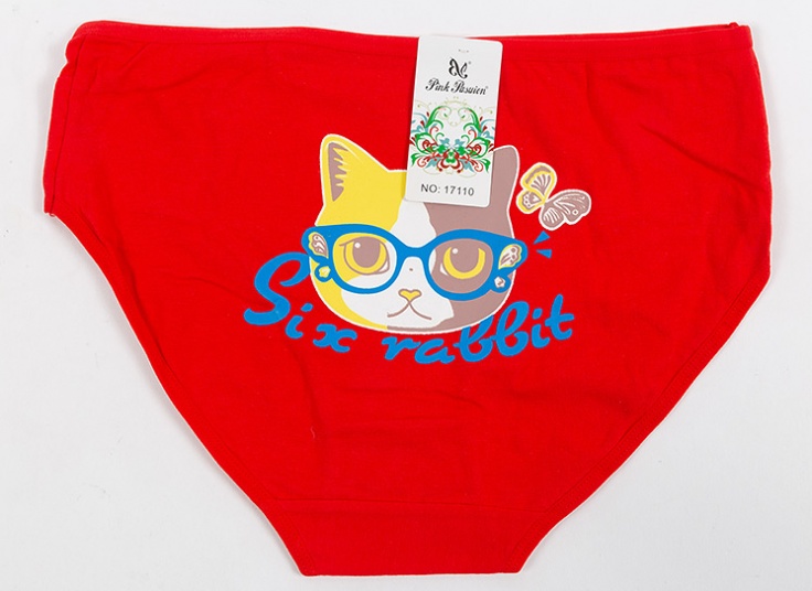 لباس زیر زنانه Pink Pasuion