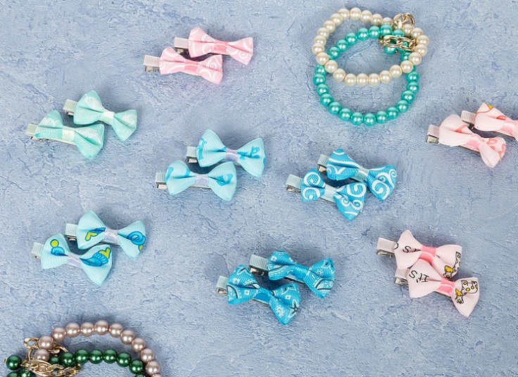 پک دو عددی گیره مو Fashion