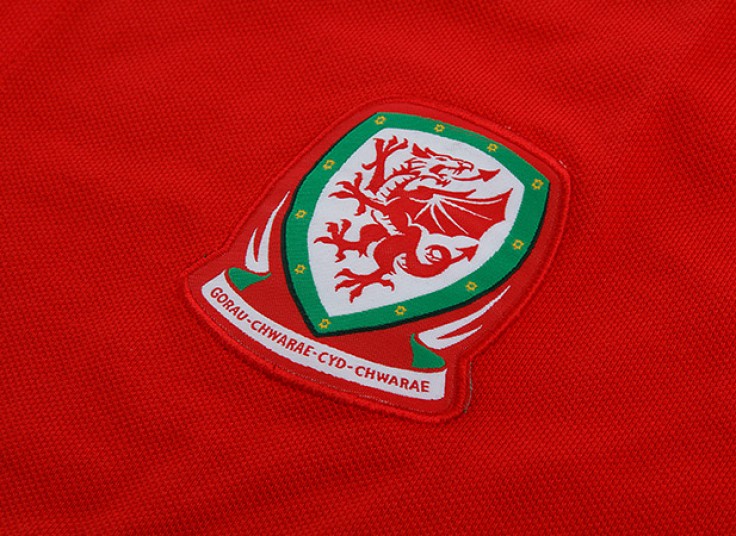 پولوشرت مردانه IRELAND