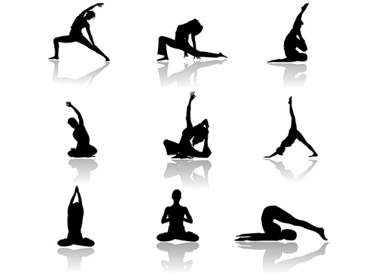 ایروبیک دلفین آبی