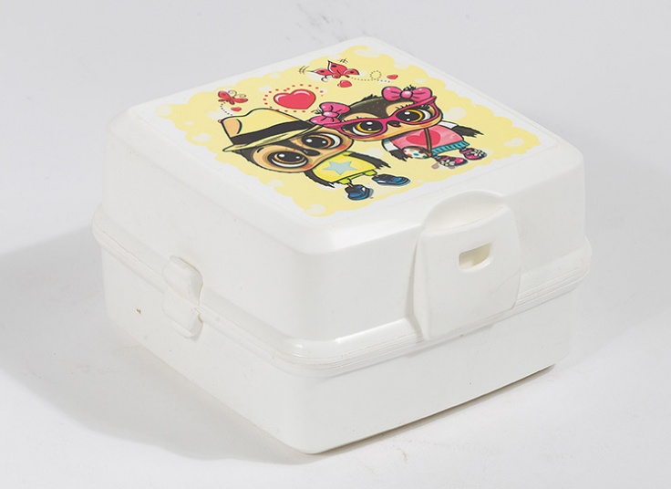 ظرف غذای طرحدار