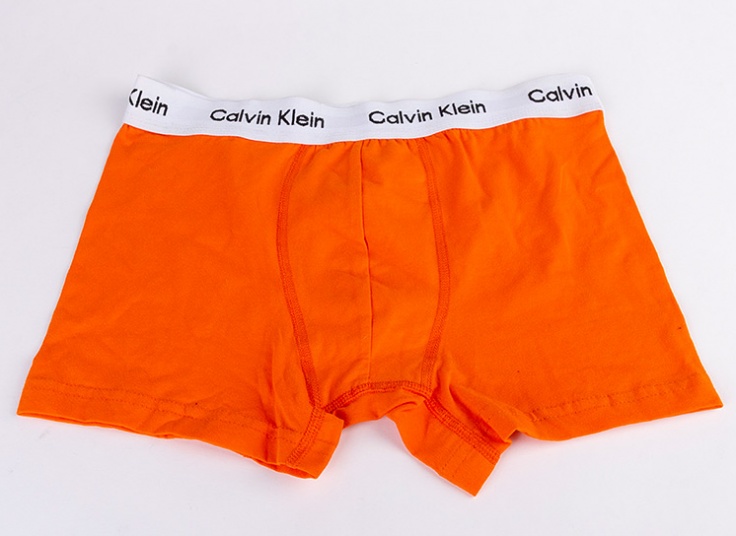 لباس زیر مردانه باکسر Calvin Klein