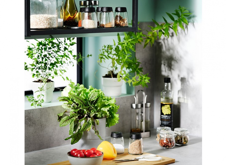 جا ادویه 4 عددی ایکیا IHÄRDIG